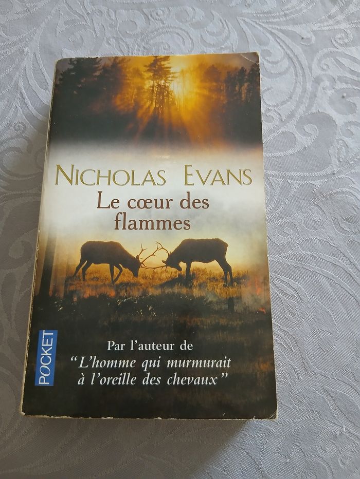 Livre le cœur des flammes