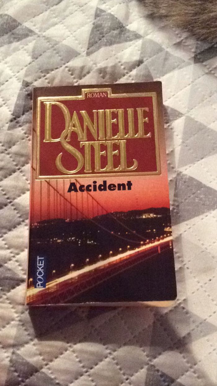 #Accident par Danielle Stell - photo numéro 2