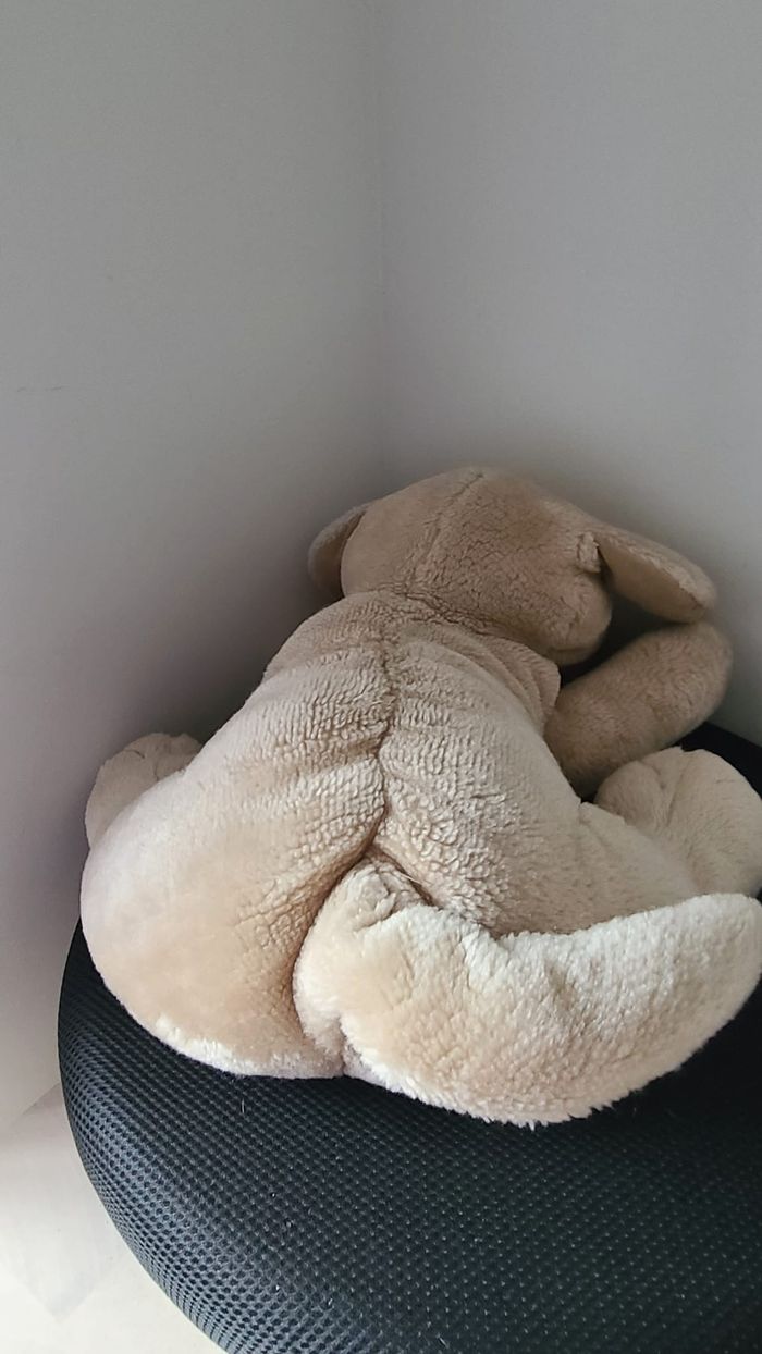 peluche chien - photo numéro 4