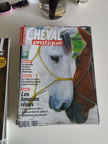 Cheval pratique