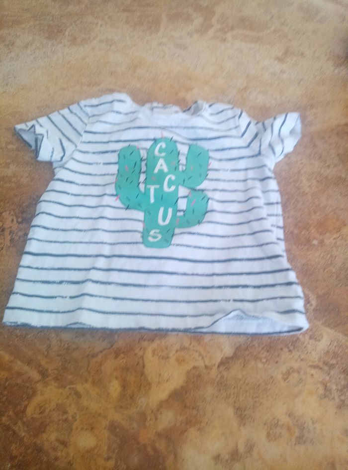 T shirt cactus