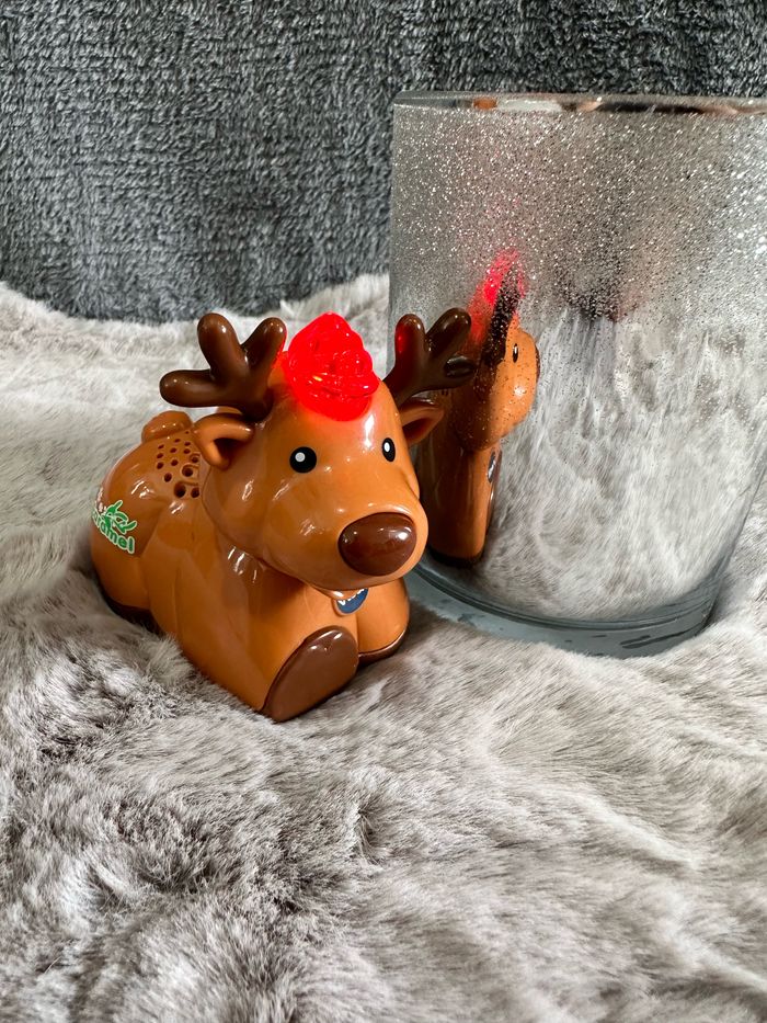 Caramel et Mitaine la famille des Rennes de Noël - photo numéro 6