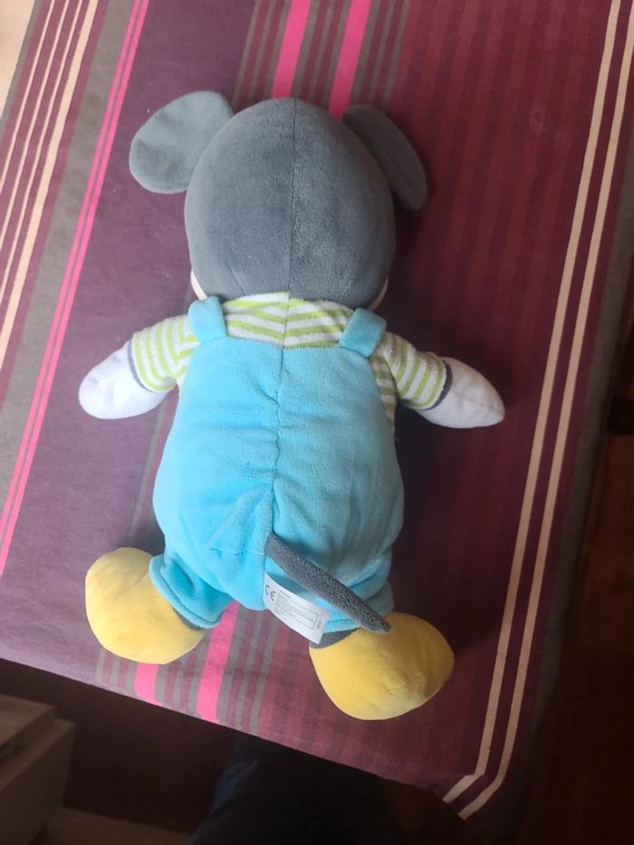 Mickey - photo numéro 2