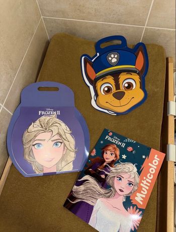 Lot coloriage pat patrouille et reine des neige 