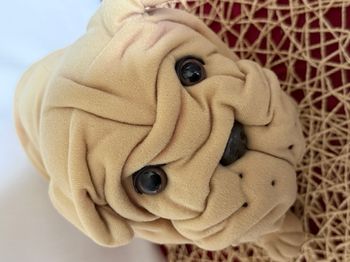 Peluche - Chien Sharpei