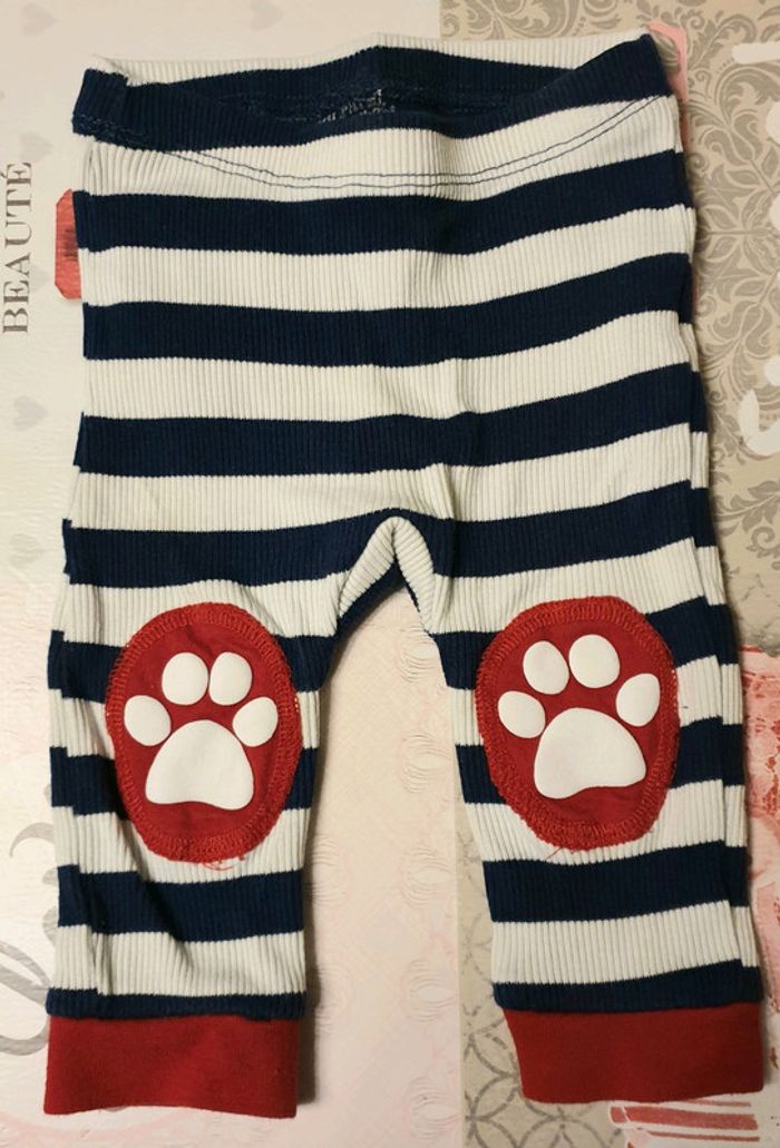 Ensemble petit chien - photo numéro 3