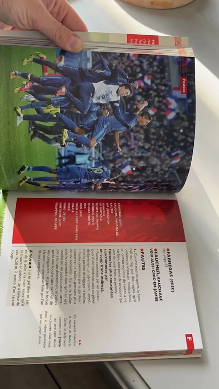 Le grand livre du foot - photo numéro 8