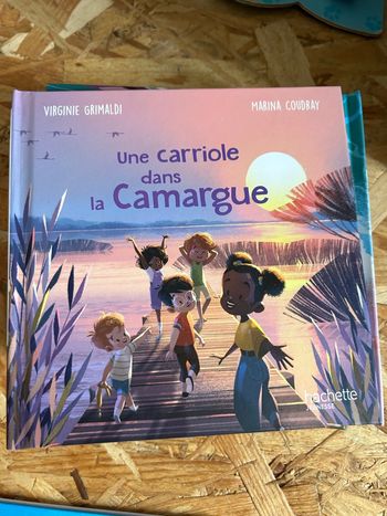 Livre une carriole dans la Camargue
