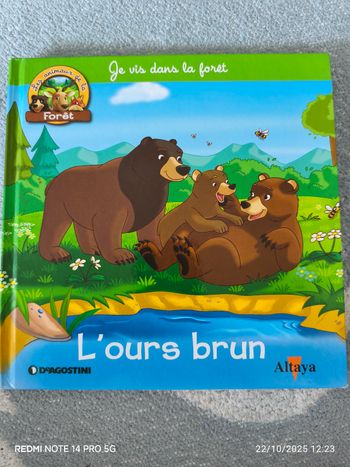 L'ours brun