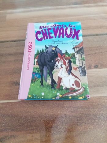 Livre mes amis les chevaux Moustique a mal aux dents