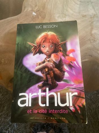 Livre « Arthur et la cité interdite »
