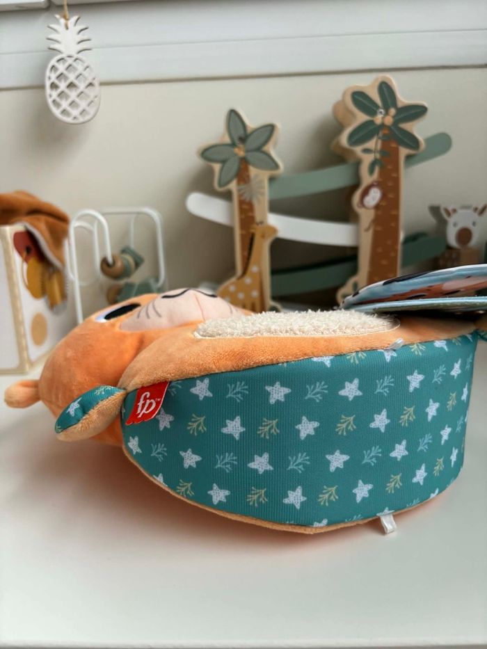 Loutre Fisher price 2 en 1 - photo numéro 4