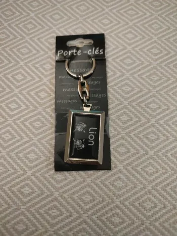 Porte clés kiub lion