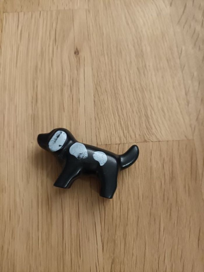 chien