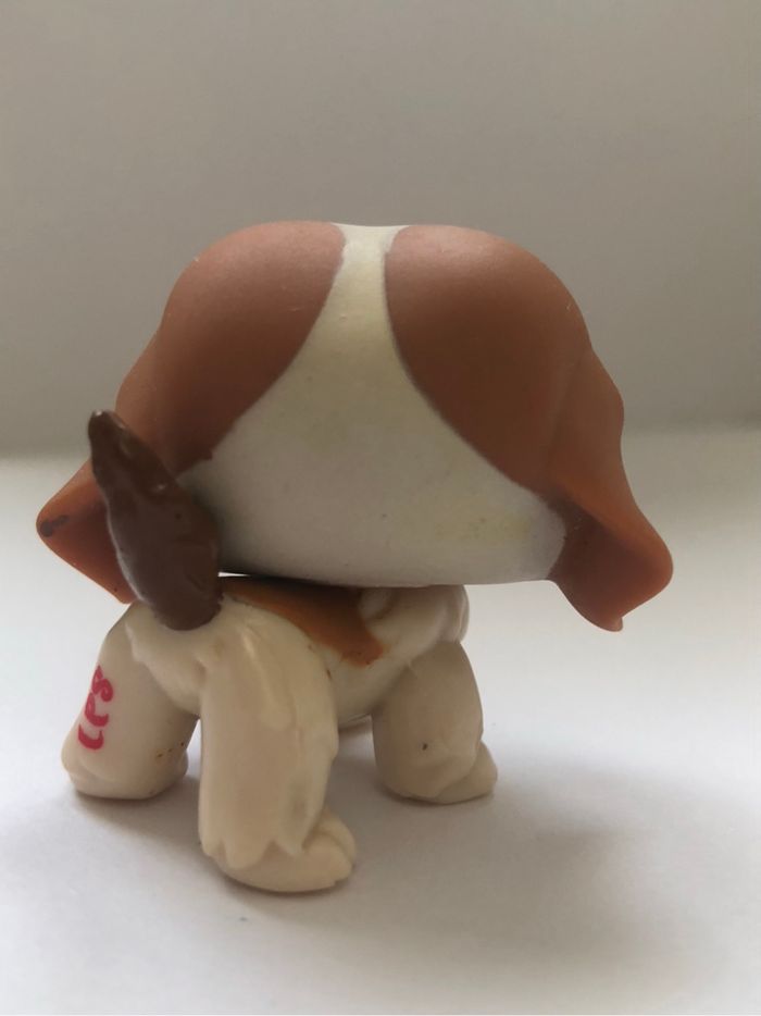 Pet shop : chien saint Bernard - photo numéro 3