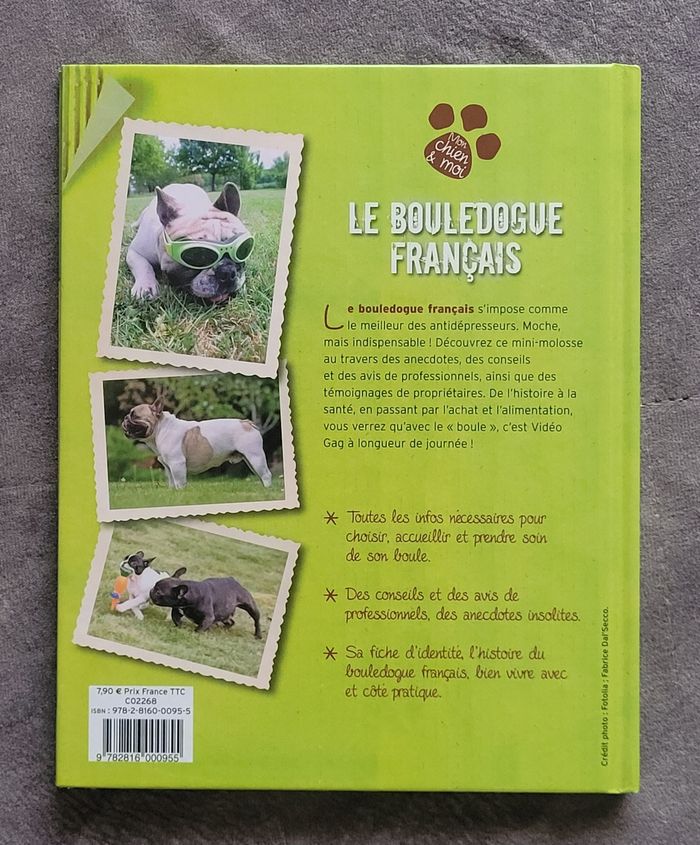 Le bouledogue français Emmanuelle Dal'Secco - photo numéro 7