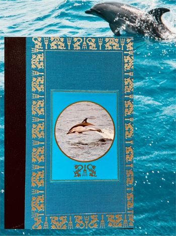 🐬 Les dauphins et la liberté