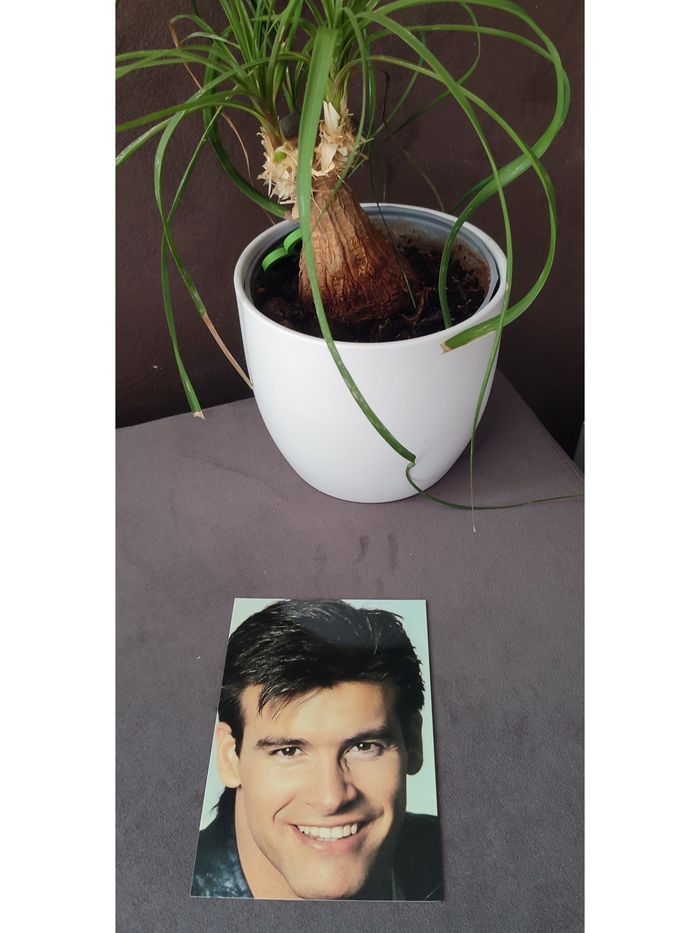 Carte postale Roch Voisine