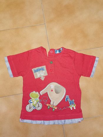 Tee shirt mc rouge animaux 12mois