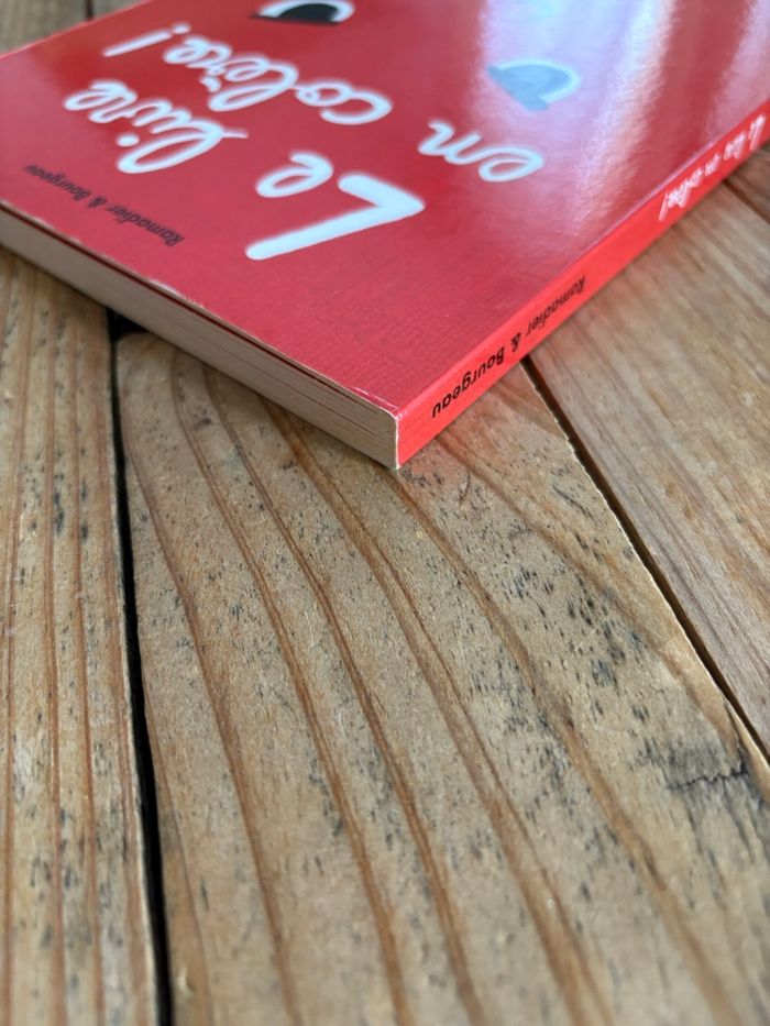 Livre de la colère - photo numéro 5