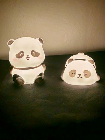 Lot de 2 Veilleuses Panda 🐼