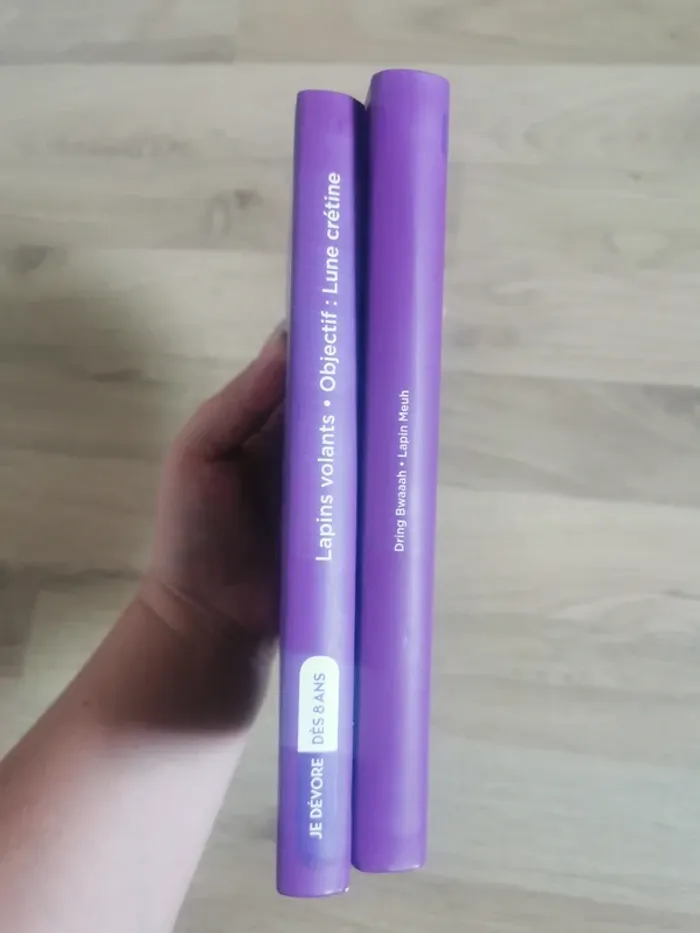 Lot 2 livres lapins crétins - photo numéro 3