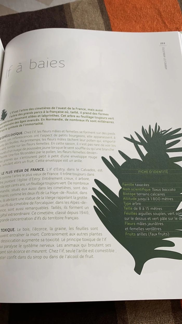 Livre mon herbier 48 plantes à connaître, à collectionner et à conserver tana éditions - photo numéro 7