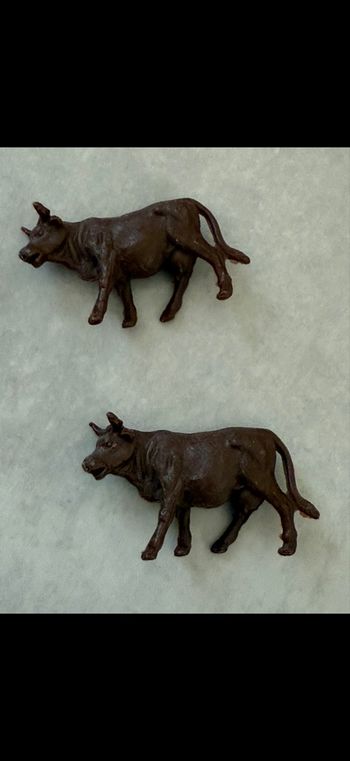 Lot de 2 bœufs ou taureaux