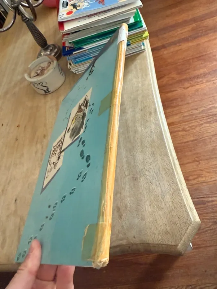 Livre Pierre Probst Caroline Fanfan ancien italien Gianni e l’ultimo lupo vintage - photo numéro 16