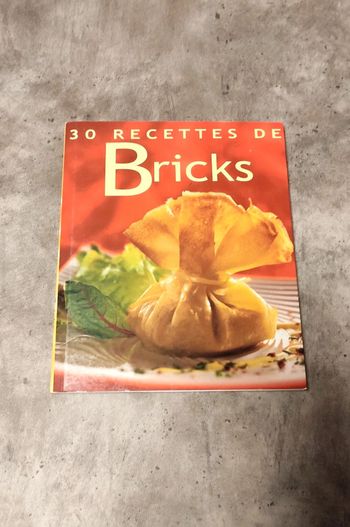 30 recettes de bricks