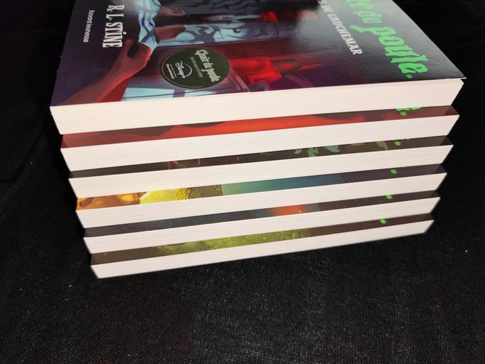 Chair de poule lot 6 livres tomes 19 20 21 22 23 24 - photo numéro 6