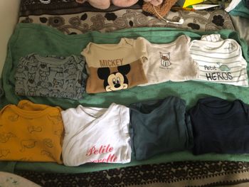 Lot 8 bodies
