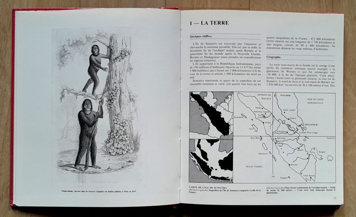 Sumatra (voyage, culture) - photo numéro 9