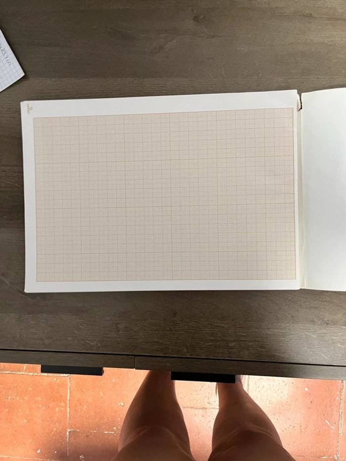 1 cahier de dessin millimétré - photo numéro 2