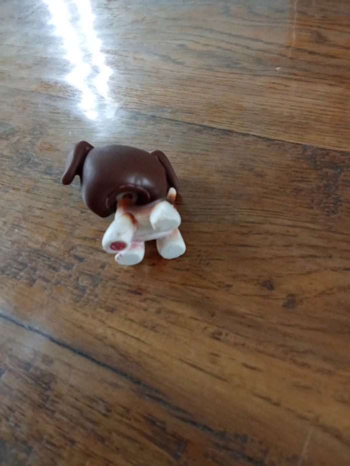 Petshop chien boxer - photo numéro 3