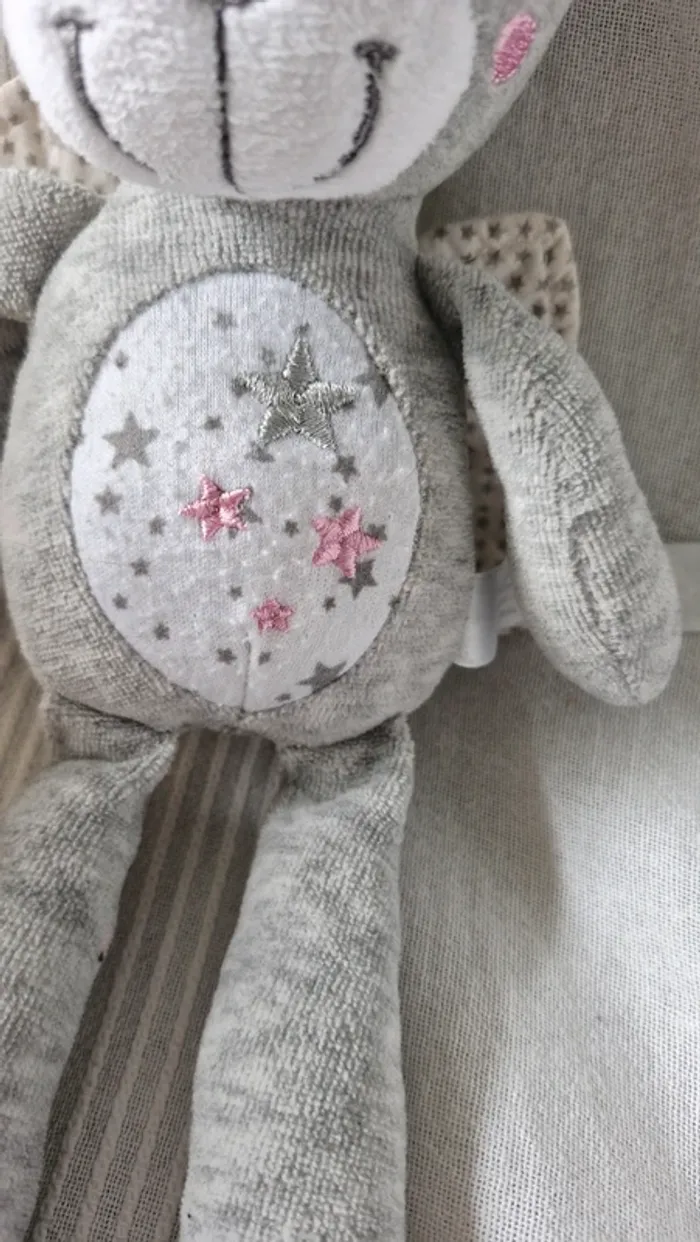 Lapin ange Simba - photo numéro 2