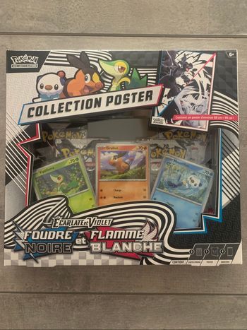 Pokémon Coffret Collection Poster EV10.5 VF