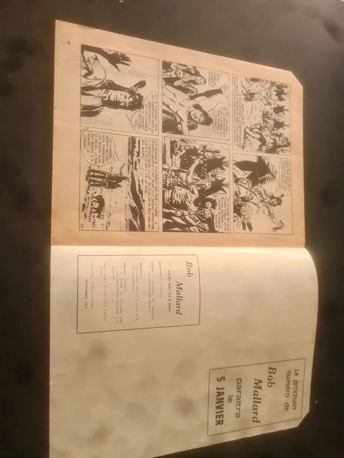 Bob Mallard le.pilote masqué - photo numéro 3