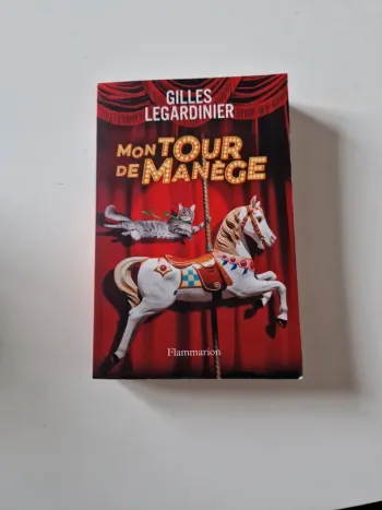 Livre Mon tour de manège de Gilles Legardinier