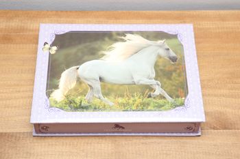 Boîte chevaux