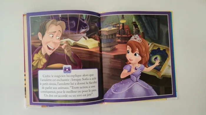 Livre disney junior - l amulette de sofia - photo numéro 3