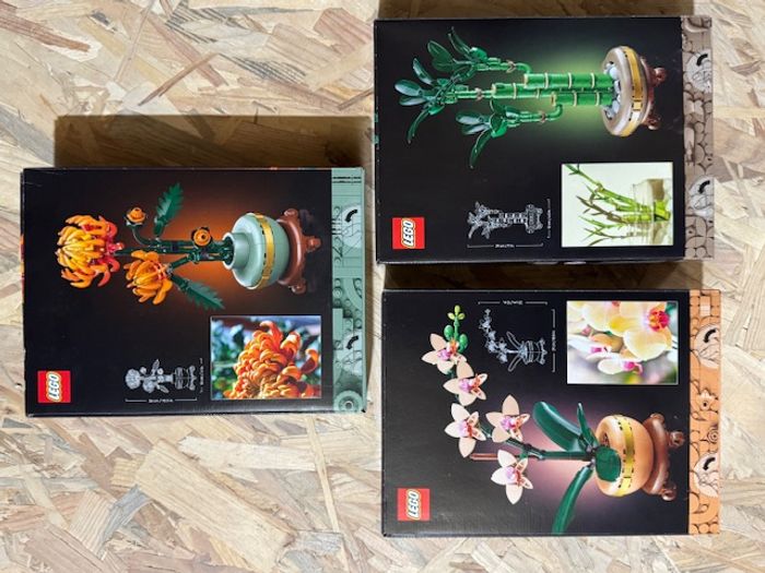Pack LEGO Botanicals - 10343 / 10344 / 10368 - Neufs et scellés - photo numéro 2