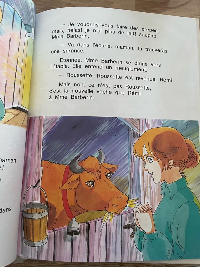 Livre Rémi sans famille - photo numéro 5