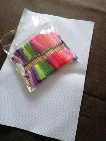 Kit broderie 2 toiles Coton et 50 échevettes coton Multicolore, 