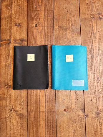 Lot de 2 grands porte vues documents souples 80 et 100 vues