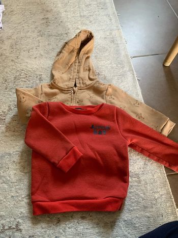 Lot gilet + sweat en 12 mois InExtenso