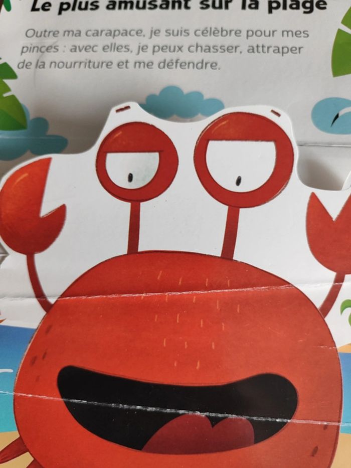 Animaux de la mer - photo numéro 15