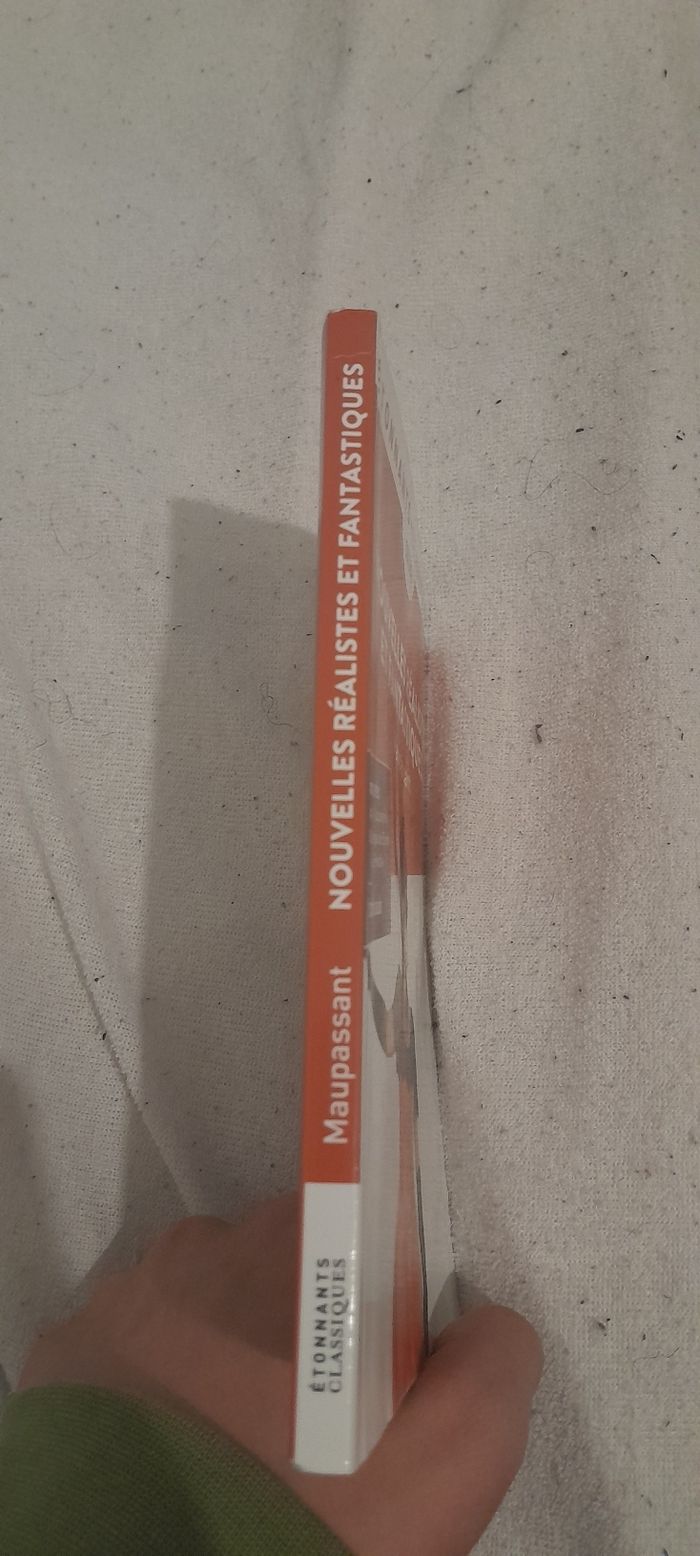 Nouvelles réalistes et fantastiques de Maupassant - photo numéro 4
