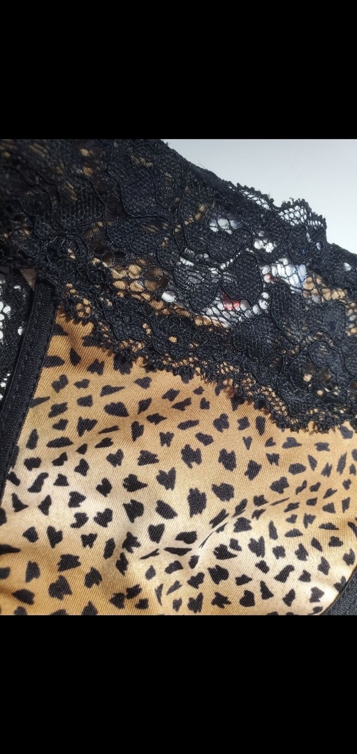 Tanga léopard - photo numéro 3