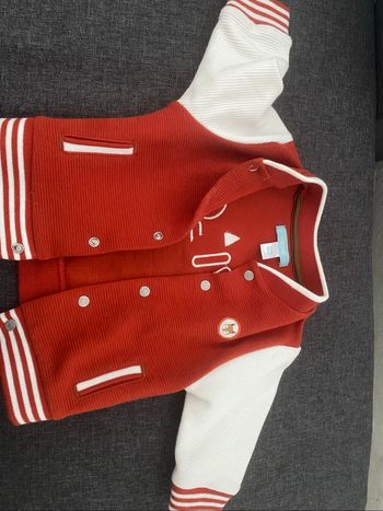 Veste